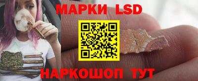 стафф Сланцы